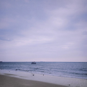 Listen to 小燕子穿花衣 (完整版) song with lyrics from Lil Howcy