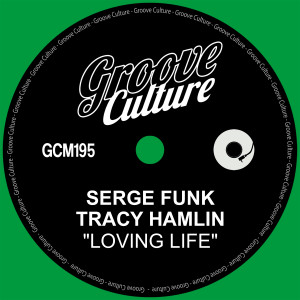 Listen to Loving Life (Radio Edit) song with lyrics from Serge Funk