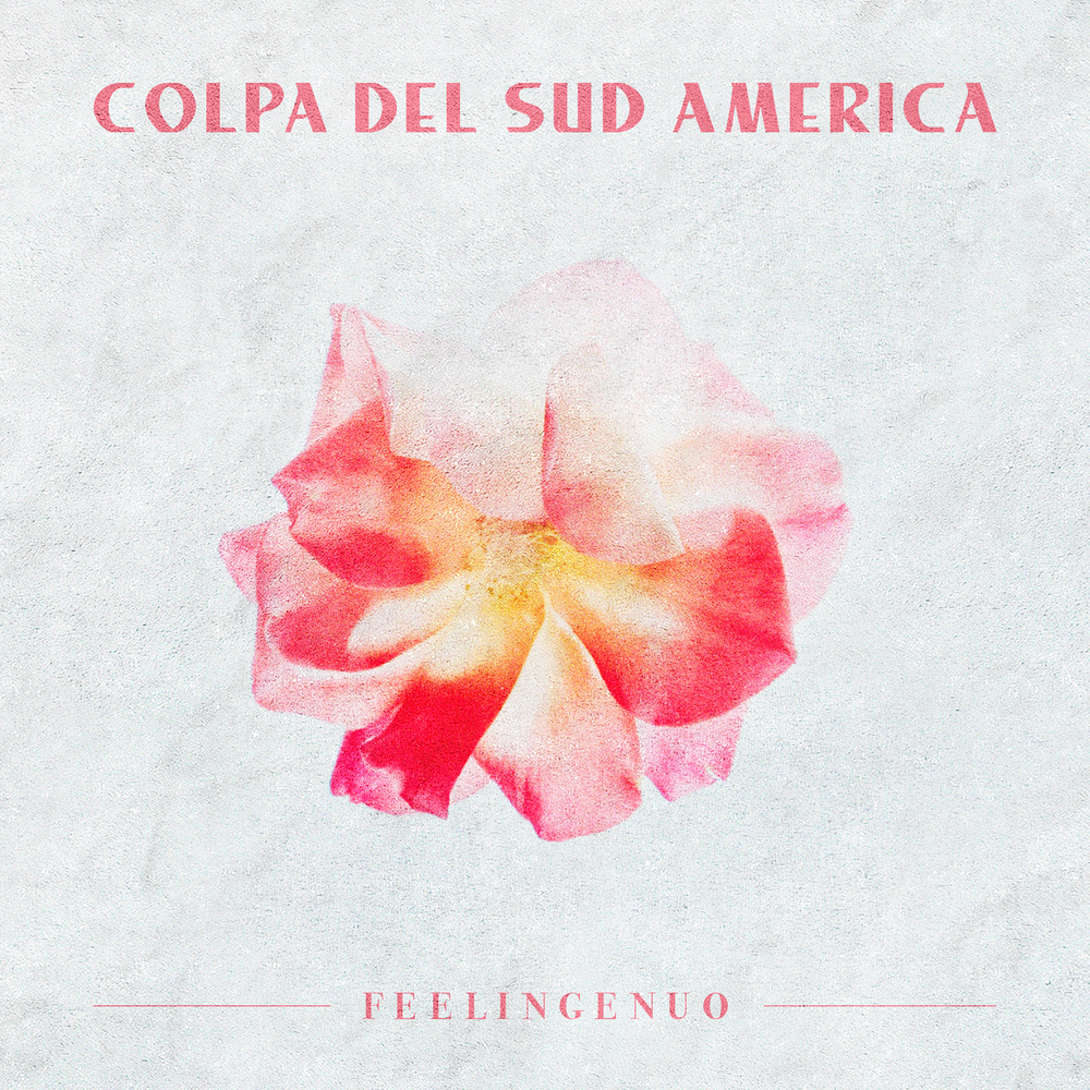 Colpa del Sud America