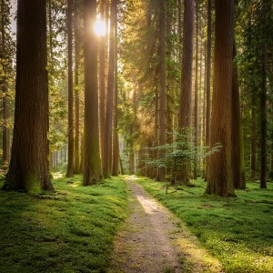 La Espiritualidad Música Colección的專輯Armonía Interior: Paisajes Sonoros Para Meditación Profunda
