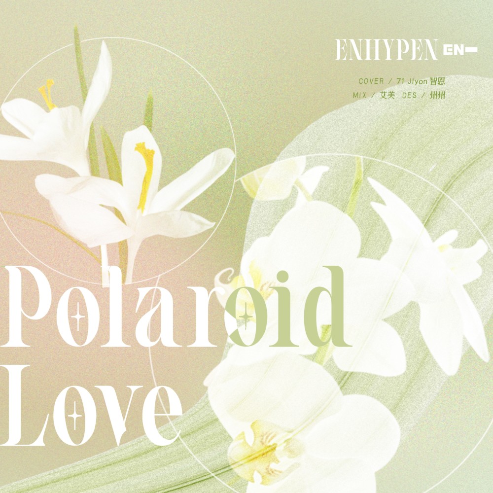 Polaroid Love (cover: ENHYPEN) (其他)