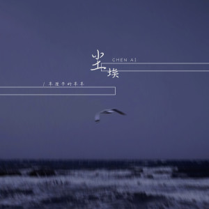 Listen to 尘埃 song with lyrics from 车厘子的车车