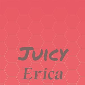 Various Artists的專輯Juicy Erica