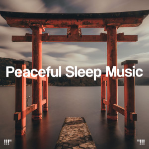 收聽Spa Music Relaxation的Relaxing Yoga (432Hz)歌詞歌曲
