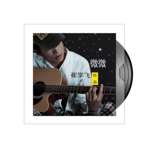 Listen to 微微 song with lyrics from 崔学飞