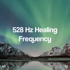 Study Alpha Waves的專輯"!!! 528 Hz Healing Frequency !!!"
