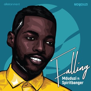 Album Falling from Mduduzi