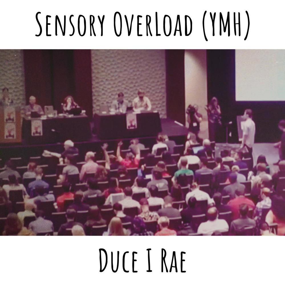 Sensory OverLoad (YMH) (Explicit)