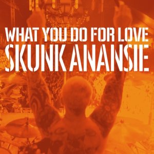 Skunk Anansie的專輯What You Do for Love