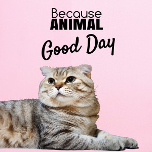 Listen to Good Day song with lyrics from Because Animal
