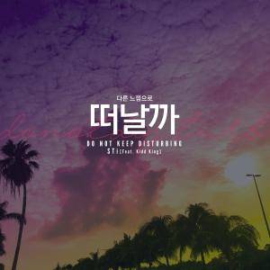 Album Do Not Keep Disturbing (feat. Kidd King) from STi