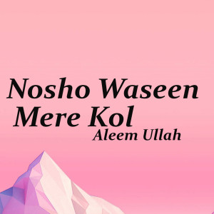 ดาวน์โหลดและฟังเพลง Nosho Waseen Mere Kol พร้อมเนื้อเพลงจาก Aleem Ullah
