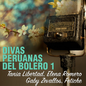 Album Divas Peruanas del Bolero, Vol.1 from Tania Libertad