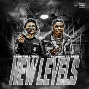 Listen to New Levels (Explicit) song with lyrics from Bankroll Tink