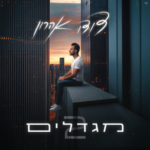 דודו אהרון的專輯מגדלים 2