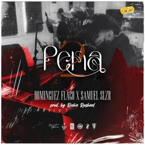 ดาวน์โหลดและฟังเพลง Pena 2 (Explicit) พร้อมเนื้อเพลงจาก Richie Rasheed