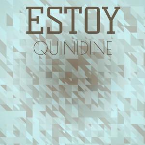 ดาวน์โหลดและฟังเพลง Estoy Quinidine พร้อมเนื้อเพลงจาก Merrii Shun