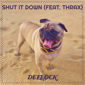 收听Deflock的Shut It Down (Explicit)歌词歌曲