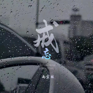 Album 戒忘 from 雨宗林