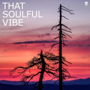 Album That Soulful Vibe from Various