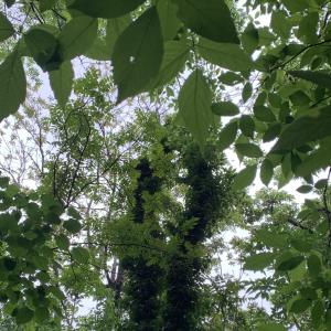 收聽1rokit的the way you do anything, is the way you do everything歌詞歌曲