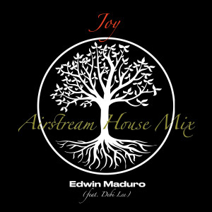 Edwin Maduro的专辑Joy (Airstream House Mix)