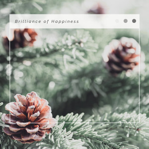 Instrumental Christmas Music Orchestra的專輯Brilliance of Happiness