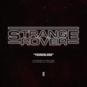 收聽Strange Rover的Youngblood歌詞歌曲