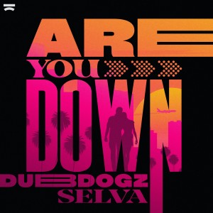 ดาวน์โหลดและฟังเพลง Are You Down พร้อมเนื้อเพลงจาก Dubdogz