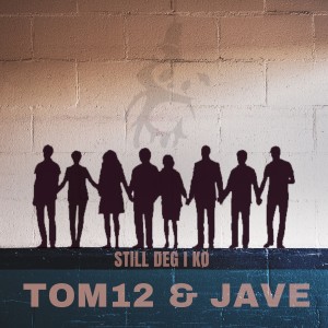 ดาวน์โหลดและฟังเพลง Still deg i kø (Explicit) พร้อมเนื้อเพลงจาก Tom 12
