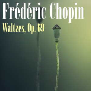收聽Grayson Black的Waltzes, Op. 69: No. 2, Moderato歌詞歌曲