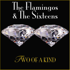ดาวน์โหลดและฟังเพลง Don't Worry About a Thing พร้อมเนื้อเพลงจาก The Flamingos