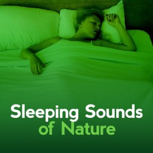 ดาวน์โหลดและฟังเพลง Water Wheel พร้อมเนื้อเพลงจาก Sleep Sounds of Nature