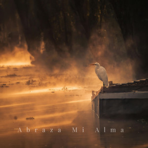 The Hymn Ensemble的專輯Abraza Mi Alma