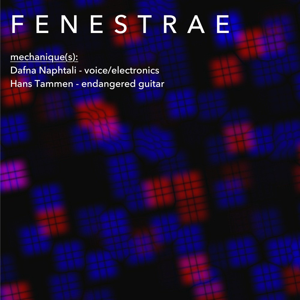 Fenestrae, Pt. 6