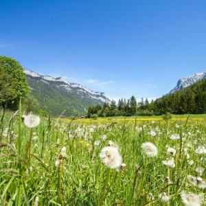 Dengarkan Piano Emosional Sedih lagu dari Nopa Sobarna dengan lirik