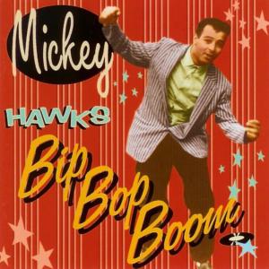 ดาวน์โหลดและฟังเพลง Me and My Harley Davidson พร้อมเนื้อเพลงจาก Micky Hawks