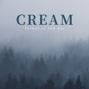 ดาวน์โหลดและฟังเพลง Cream (Explicit) (prod by MossW) พร้อมเนื้อเพลงจาก MaXes小库