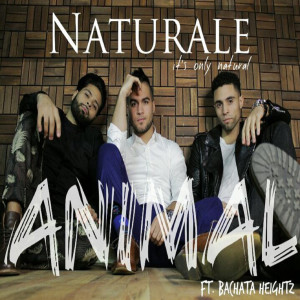 Animal (feat. Bachata Heightz)