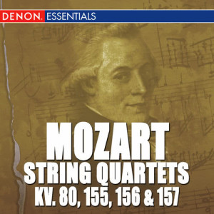 ดาวน์โหลดและฟังเพลง String Quartet No. 4 in C Major, K. 157: II. Andante พร้อมเนื้อเพลงจาก Mozarteum Quartet Salzburg