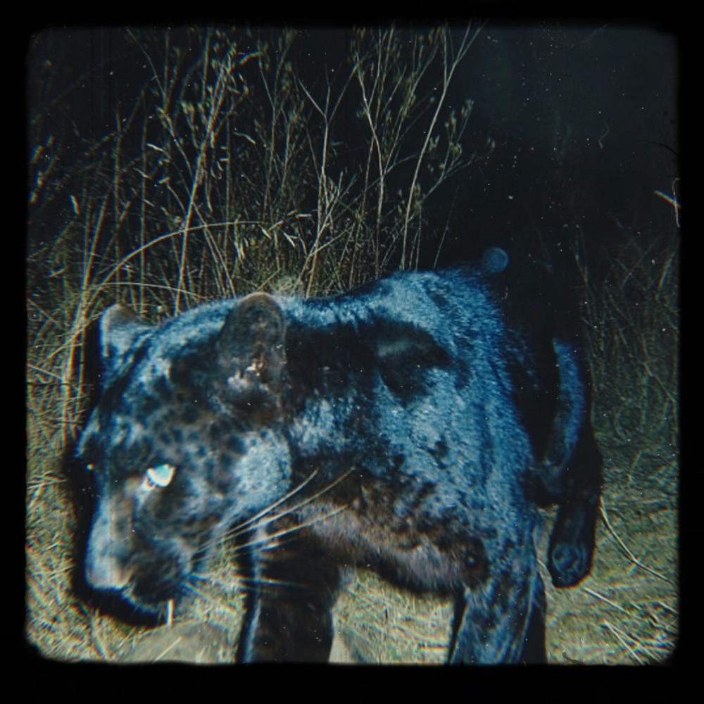 Cruel (Explicit)