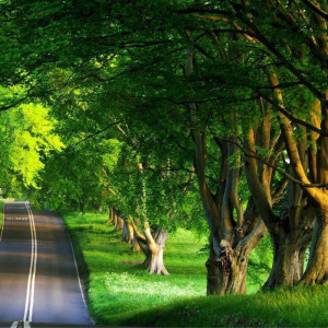 Listen to Cloud Formations song with lyrics from Zen Music Garden