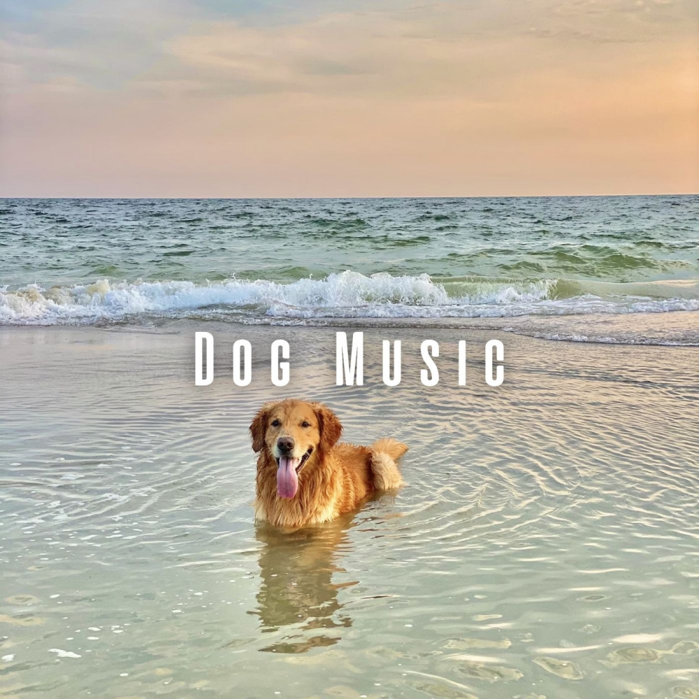 Beachside Canine Chorus