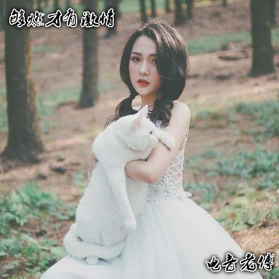 越南鼓 (DJ版)