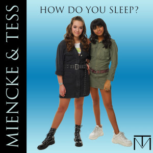 ดาวน์โหลดและฟังเพลง How Do You Sleep? พร้อมเนื้อเพลงจาก Miencke & Tess