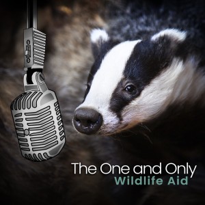 Wildlife Aid的專輯The One and Only