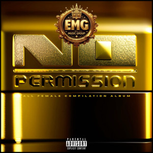 Various Artists的专辑No Permission (All Female Compilation Album) [Explicit]