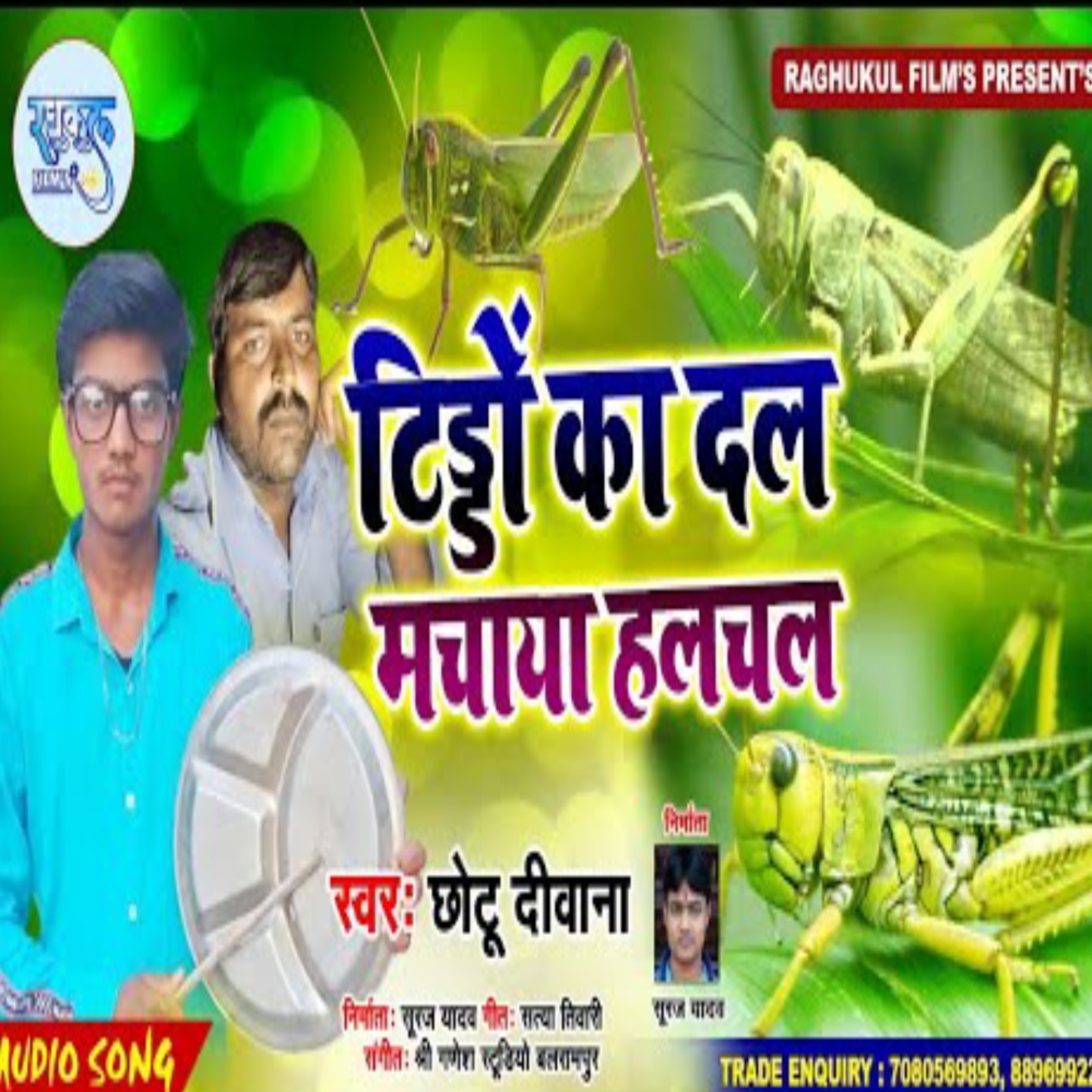 Tiddo Ka Dal Machaya Hulchul