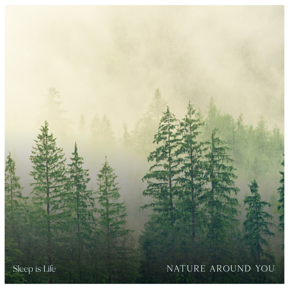 Nature Around You