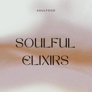 Soulfood的專輯Soulful Elixirs